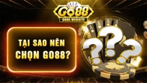 Tại sao nên chọn GO88?